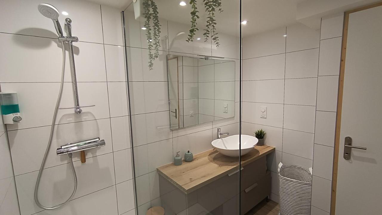 Refuge Des Myosotis - Proche Chambery - Jardin - Calme - Cosy Διαμέρισμα Barberaz Εξωτερικό φωτογραφία