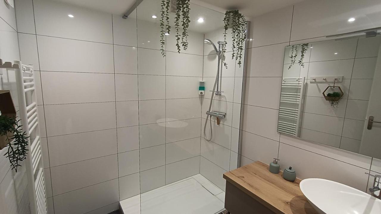 Refuge Des Myosotis - Proche Chambery - Jardin - Calme - Cosy Διαμέρισμα Barberaz Εξωτερικό φωτογραφία